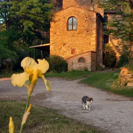 Il Molendino Apartmán